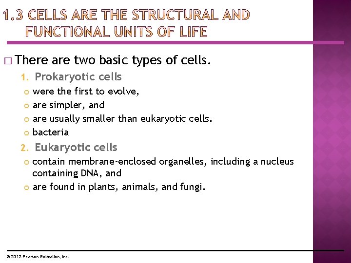 � There 1. 2. are two basic types of cells. Prokaryotic cells were the � There 1. 2. are two basic types of cells. Prokaryotic cells were the