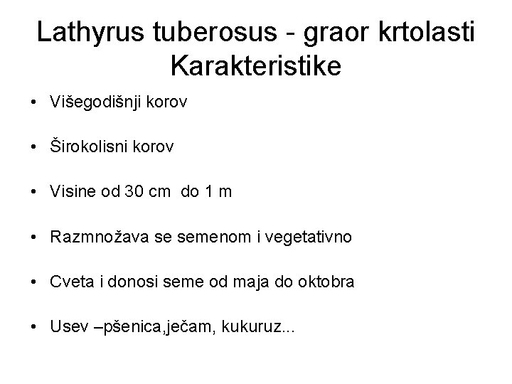 Lathyrus tuberosus - graor krtolasti Karakteristike • Višegodišnji korov • Širokolisni korov • Visine
