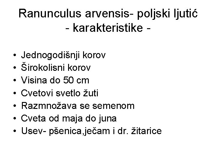 Ranunculus arvensis- poljski ljutić - karakteristike • • Jednogodišnji korov Širokolisni korov Visina do