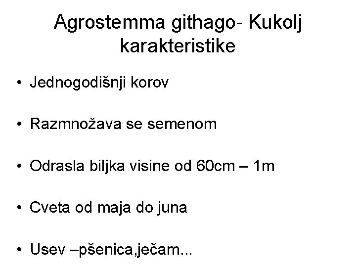 Agrostemma githago- Kukolj karakteristike • Jednogodišnji korov • Razmnožava se semenom • Odrasla biljka