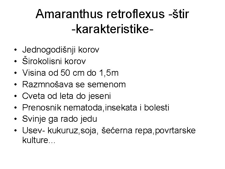 Amaranthus retroflexus -štir -karakteristike • • Jednogodišnji korov Širokolisni korov Visina od 50 cm
