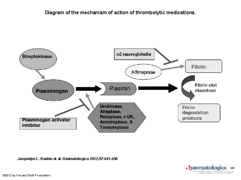Diagram of the mechanism of action of thrombolytic medications. Jacquelyn L. Baskin et al.