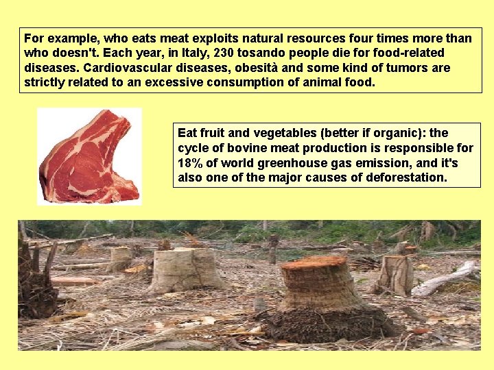 For example, who eats meat exploits natural resources four times more than who doesn't.