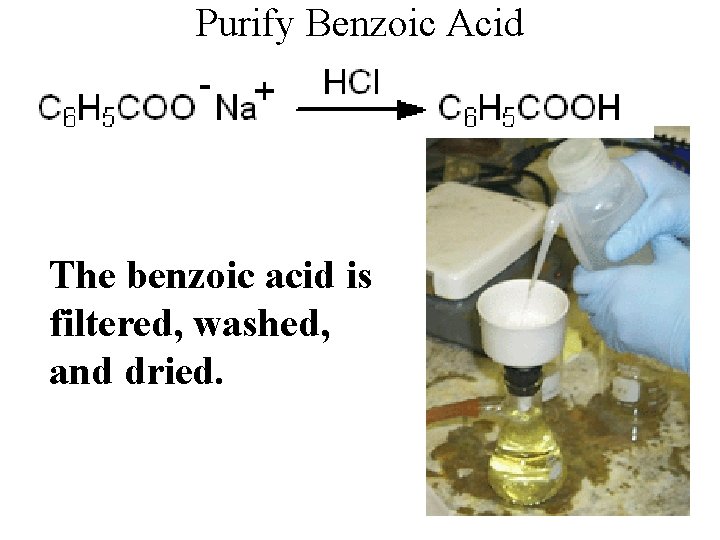 Purify Benzoic Acid The benzoic acid is filtered, washed, and dried. 