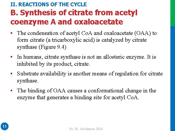 II. REACTIONS OF THE CYCLE B. Synthesis of citrate from acetyl coenzyme A and