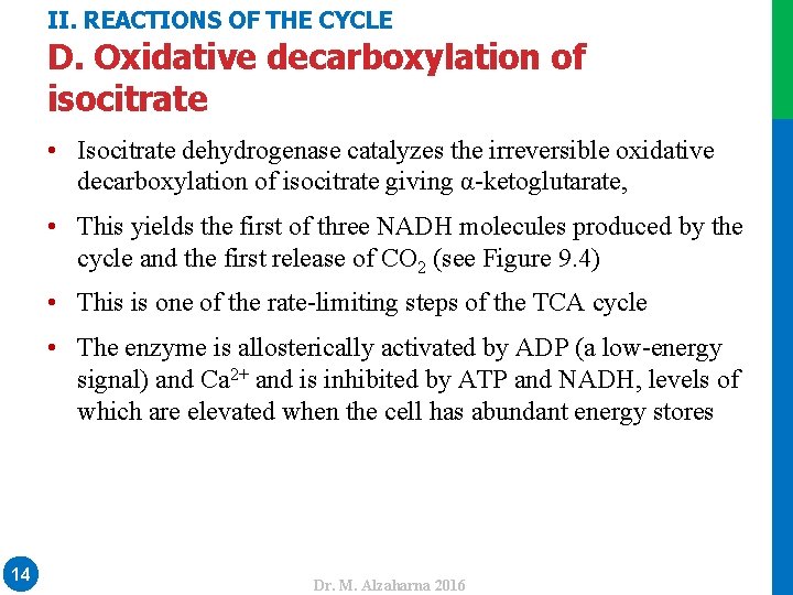 II. REACTIONS OF THE CYCLE D. Oxidative decarboxylation of isocitrate • Isocitrate dehydrogenase catalyzes