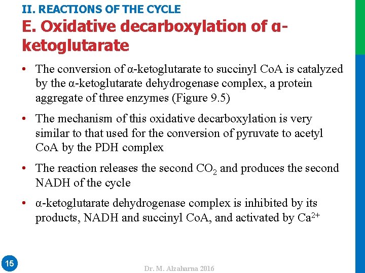 II. REACTIONS OF THE CYCLE E. Oxidative decarboxylation of αketoglutarate • The conversion of