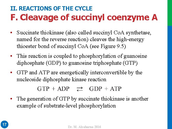 II. REACTIONS OF THE CYCLE F. Cleavage of succinyl coenzyme A • Succinate thiokinase