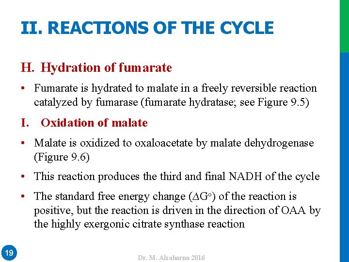 II. REACTIONS OF THE CYCLE H. Hydration of fumarate • Fumarate is hydrated to