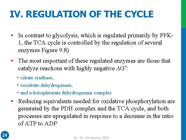 IV. REGULATION OF THE CYCLE • In contrast to glycolysis, which is regulated primarily