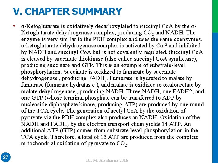  • α-Ketoglutarate is oxidatively decarboxylated to succinyl Co. A by the αKetoglutarate dehydrogenase