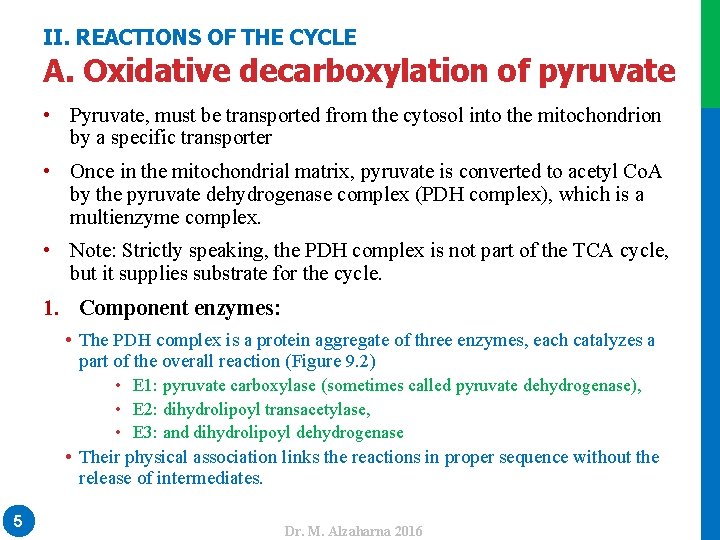 II. REACTIONS OF THE CYCLE A. Oxidative decarboxylation of pyruvate • Pyruvate, must be