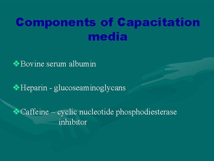 Components of Capacitation media v. Bovine serum albumin v. Heparin - glucoseaminoglycans v. Caffeine