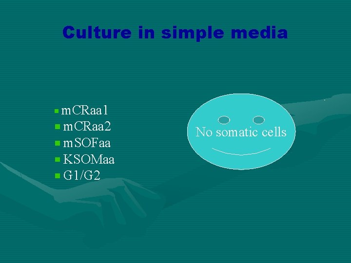 Culture in simple media m. CRaa 1 m. CRaa 2 m. SOFaa KSOMaa G
