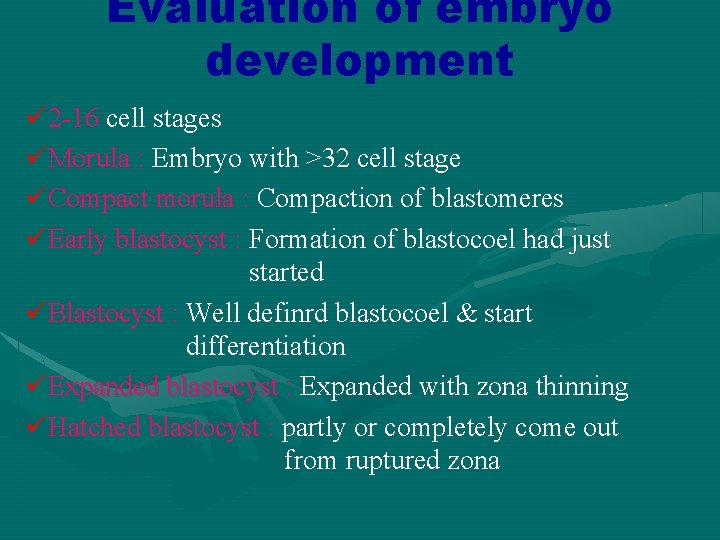 Evaluation of embryo development ü 2 -16 cell stages üMorula : Embryo with >32