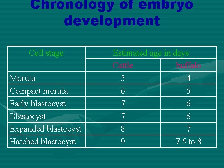 Chronology of embryo development Cell stage Morula Compact morula Early blastocyst Blastocyst Expanded blastocyst