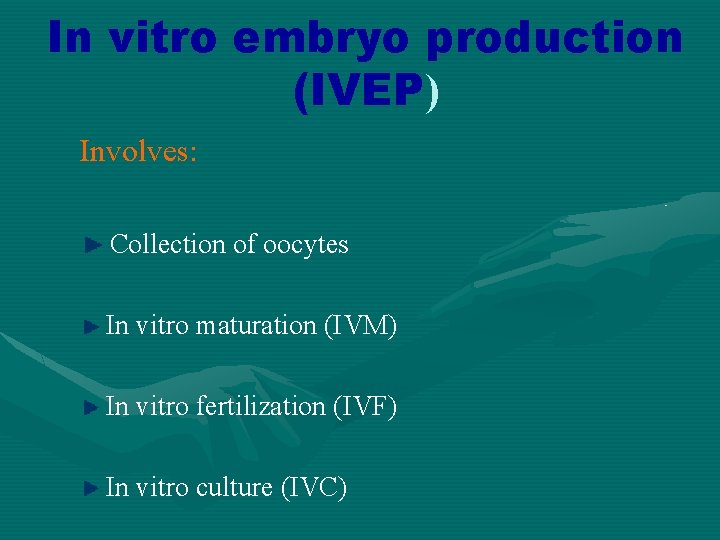 In vitro embryo production (IVEP) Involves: Collection of oocytes In vitro maturation (IVM) In