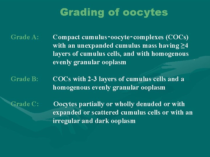 Grading of oocytes Grade A: Compact cumulus‑oocyte‑complexes (COCs) with an unexpanded cumulus mass having