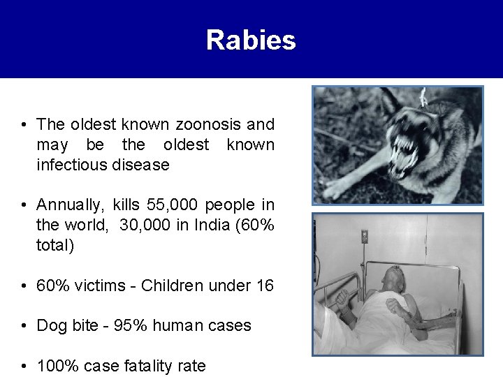 Rabies • The oldest known zoonosis and may be the oldest known infectious disease