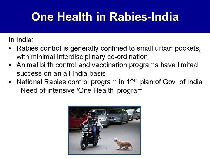One Health in Rabies-India In India: • Rabies control is generally confined to small