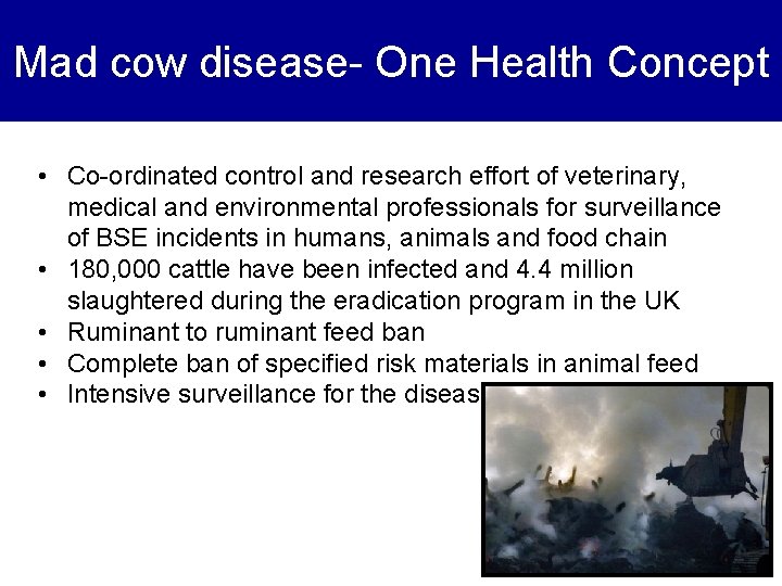 Mad cow disease- One Health Concept • Co-ordinated control and research effort of veterinary,
