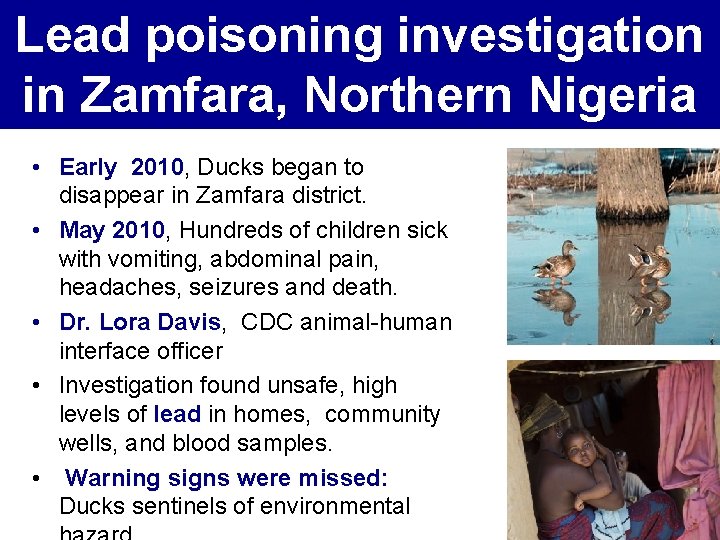 Lead poisoning investigation in Zamfara, Northern Nigeria • Early 2010, Ducks began to disappear