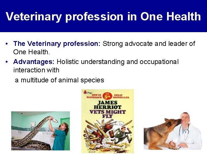 Veterinary profession in One Health • The Veterinary profession: Strong advocate and leader of