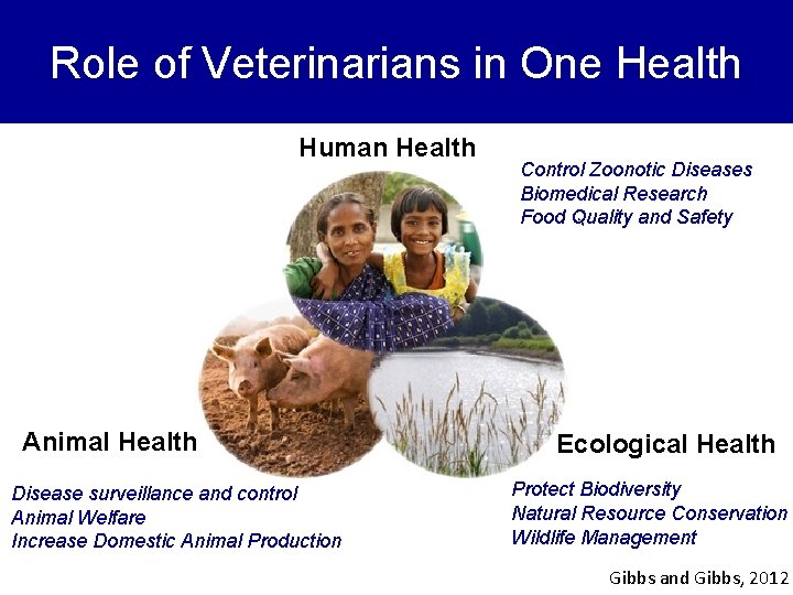 Role of Veterinarians in One Health Human Health Animal Health Disease surveillance and control