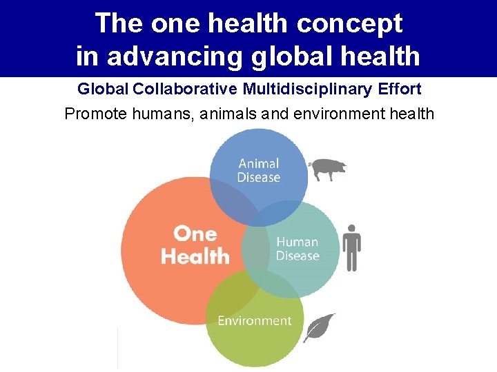 The one health concept in advancing global health Global Collaborative Multidisciplinary Effort Promote humans,