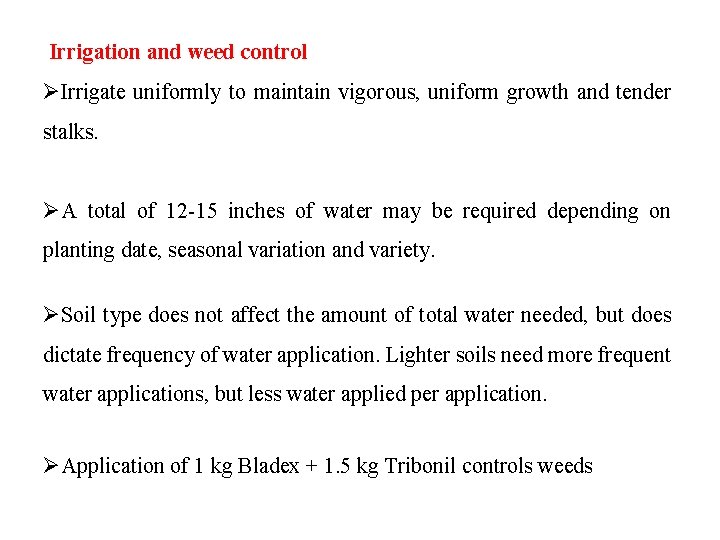 Irrigation and weed control ØIrrigate uniformly to maintain vigorous, uniform growth and tender stalks.