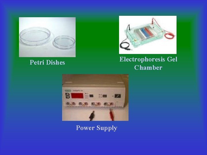 Electrophoresis Gel Chamber Petri Dishes Power Supply 