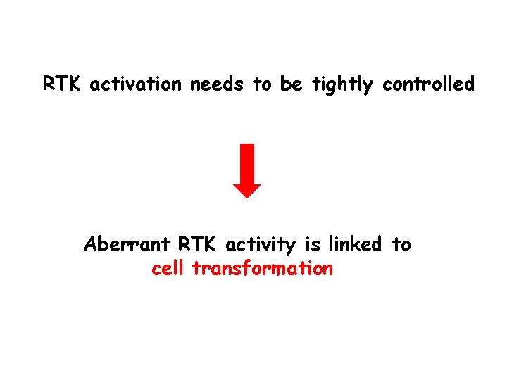 RTK activation needs to be tightly controlled Aberrant RTK activity is linked to cell