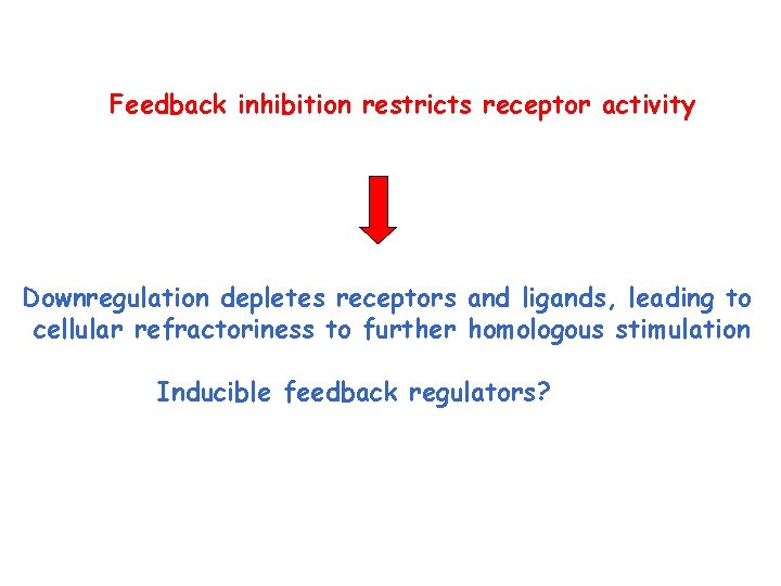 Feedback inhibition restricts receptor activity Downregulation depletes receptors and ligands, leading to cellular refractoriness