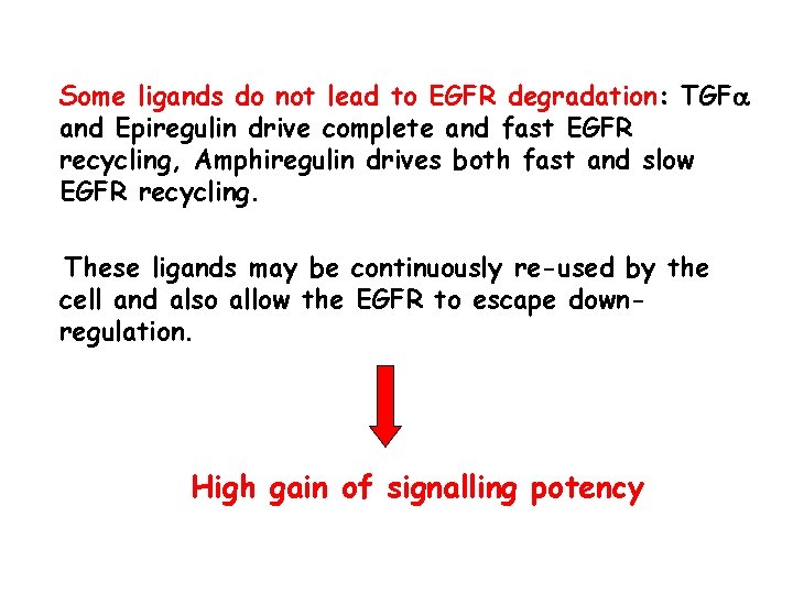 Some ligands do not lead to EGFR degradation: TGFa and Epiregulin drive complete and