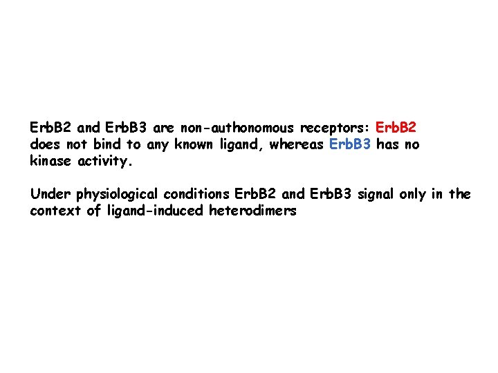 Erb. B 2 and Erb. B 3 are non-authonomous receptors: Erb. B 2 does