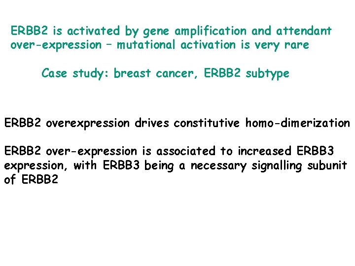 ERBB 2 is activated by gene amplification and attendant over-expression – mutational activation is