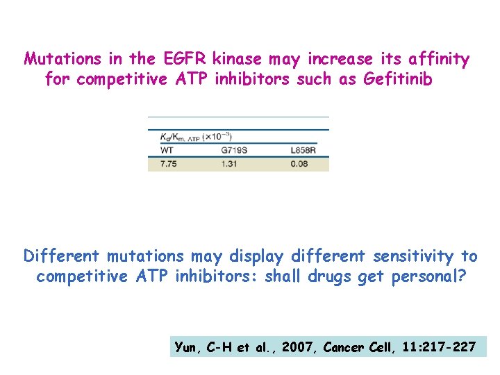 Mutations in the EGFR kinase may increase its affinity for competitive ATP inhibitors such