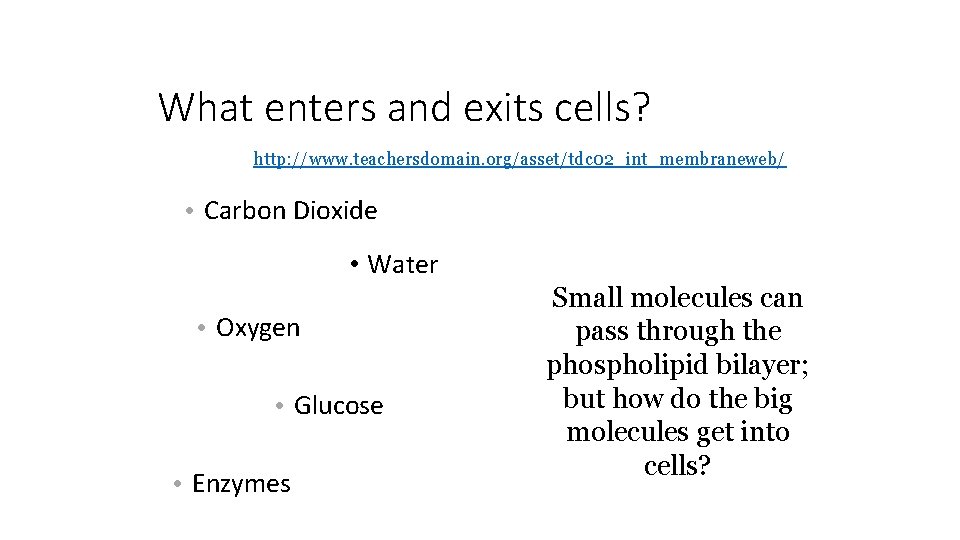 What enters and exits cells? http: //www. teachersdomain. org/asset/tdc 02_int_membraneweb/ • Carbon Dioxide •