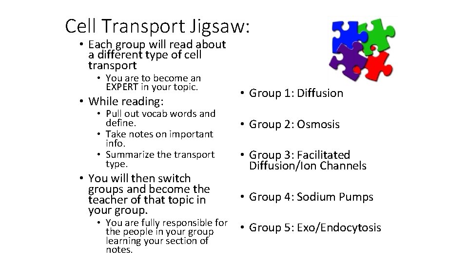 Cell Transport Jigsaw: • Each group will read about a different type of cell