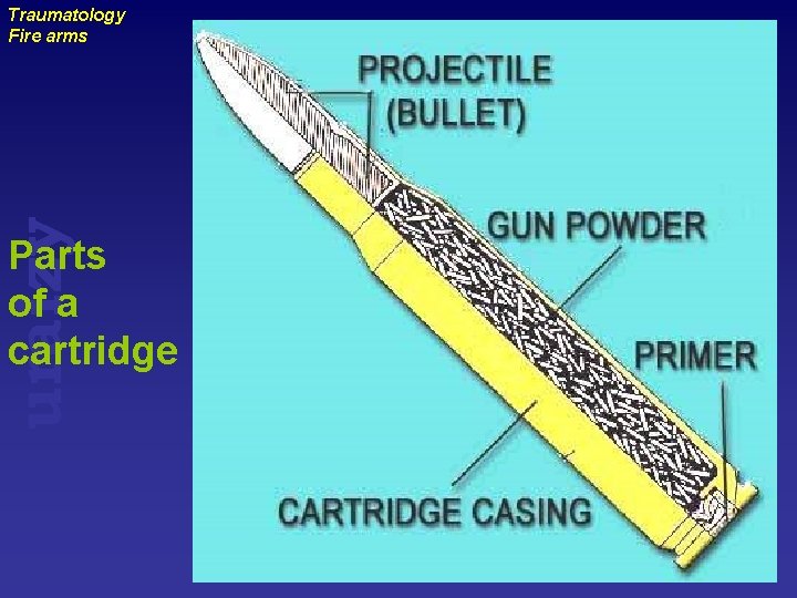 uraizy Traumatology Fire arms Parts of a cartridge 