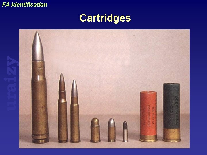 uraizy FA identification Cartridges 