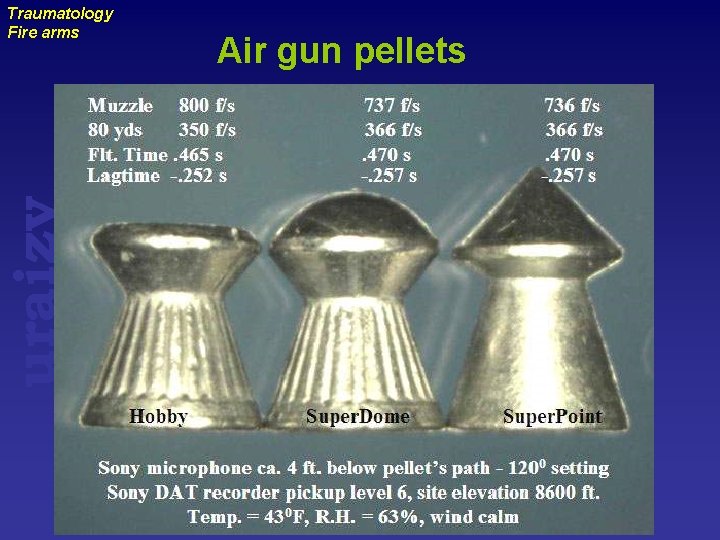 uraizy Traumatology Fire arms Air gun pellets 