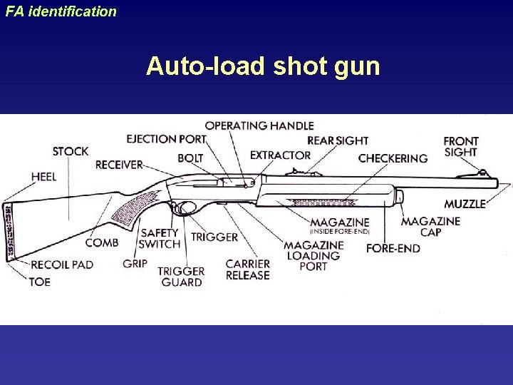 uraizy FA identification Auto-load shot gun 