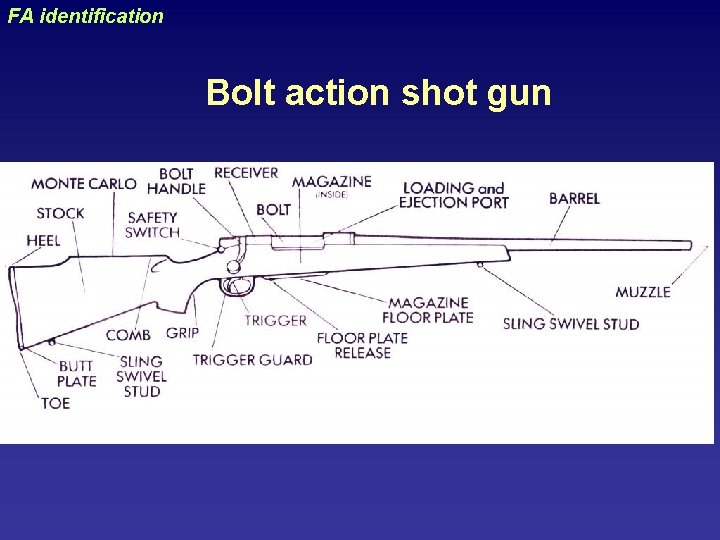 uraizy FA identification Bolt action shot gun 