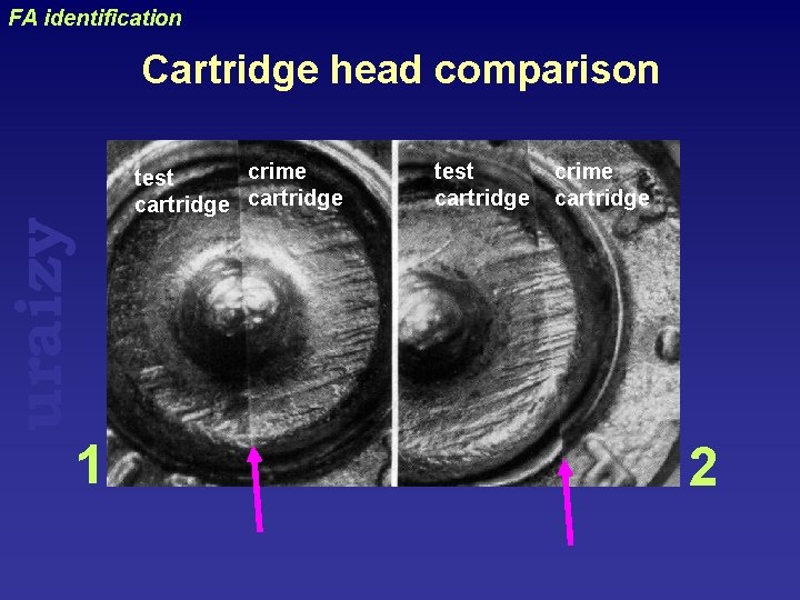 FA identification uraizy Cartridge head comparison 1 crime test cartridge crime cartridge 2 