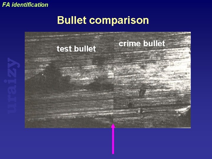 uraizy FA identification Bullet comparison test bullet crime bullet 