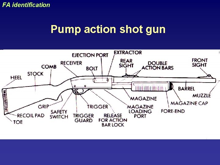 uraizy FA identification Pump action shot gun 