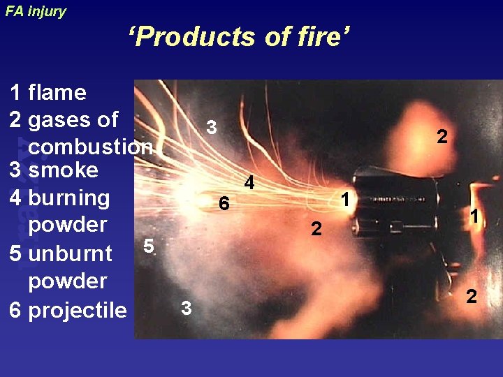 FA injury ‘Products of fire’ 3 uraizy 1 flame 2 gases of combustion 3