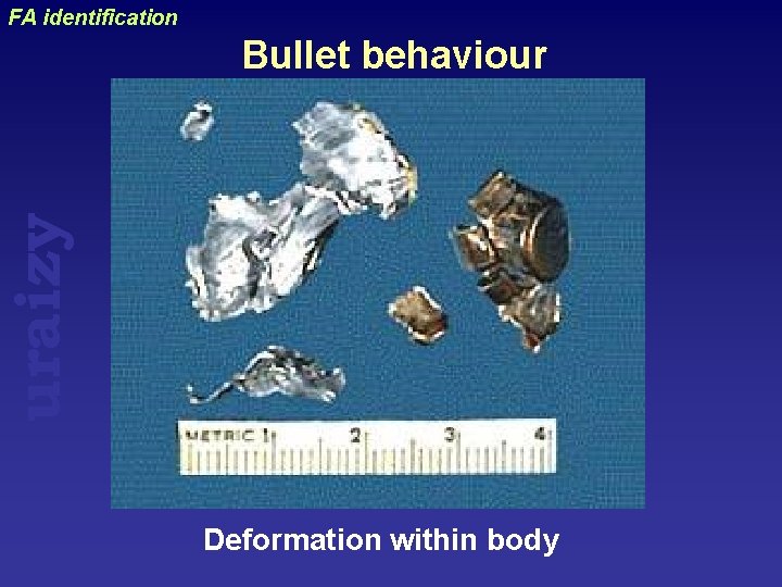 FA identification uraizy Bullet behaviour Deformation within body 