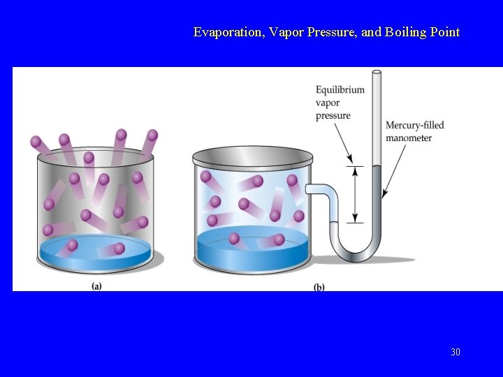 Evaporation, Vapor Pressure, and Boiling Point 30 